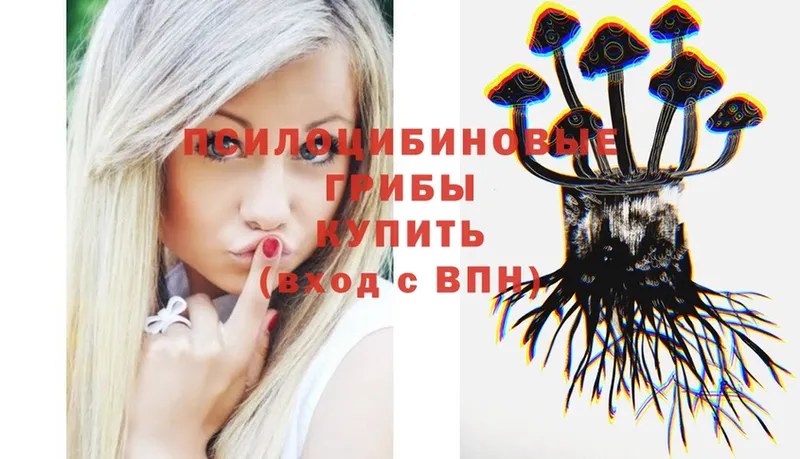 Галлюциногенные грибы Psilocybe  как найти закладки  Лермонтов 